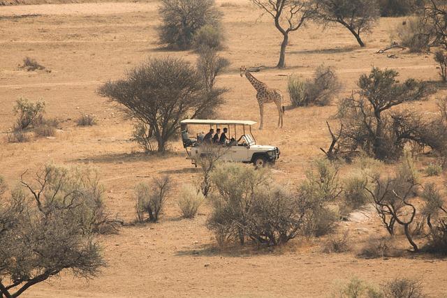 Get Up Close: Thrilling Wildlife Tours for Adventurers! Get Up Close: Thrilling Wildlife Tours for Adventurers!