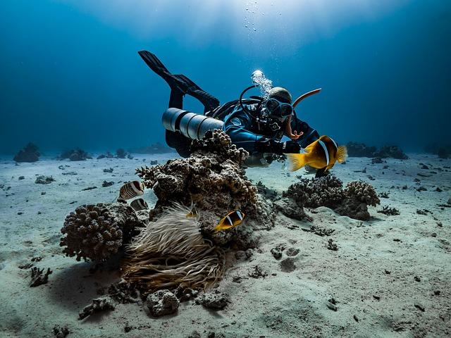 Dive In: Top Underwater Cave Adventures for Scuba Lovers Dive In: Top Underwater Cave Adventures for Scuba Lovers