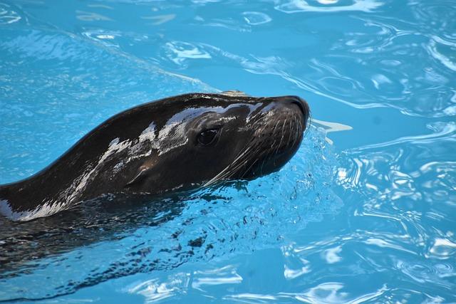 Top Solo Travel Spots: Best Destinations for Independent Explorers Top Solo Travel Spots: Best Destinations for Independent Explorers