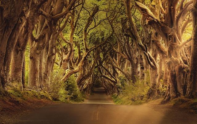 Unveiling Ireland’s Countryside: Folklore & Myths to Explore Unveiling Ireland’s Countryside: Folklore & Myths to Explore