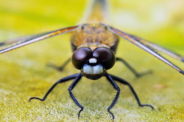Top Nature Spots to Reconnect With the Wild This Year Top Nature Spots to Reconnect With the Wild This Year