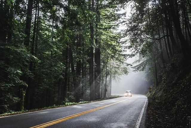 Top Scenic Road Trips Every Adventurer Should Take Top Scenic Road Trips Every Adventurer Should Take