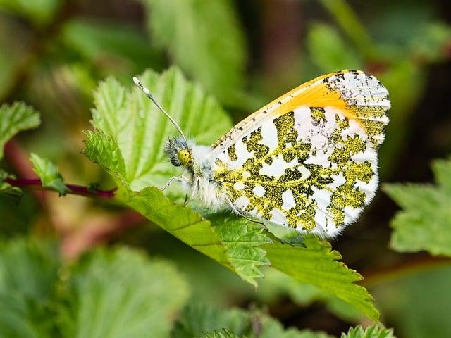 Solo Travel 101: Friendly Tips for Your First Adventure Solo Travel 101: Friendly Tips for Your First Adventure