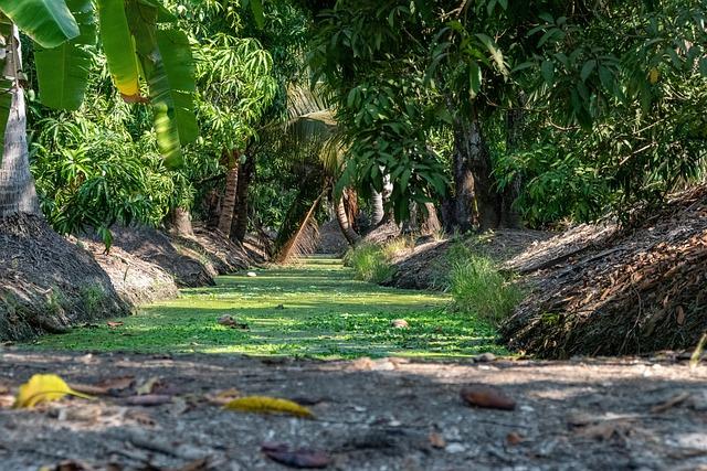 7 Must-Visit Thai Markets to Shop Like a Local Expert 7 Must-Visit Thai Markets to Shop Like a Local Expert