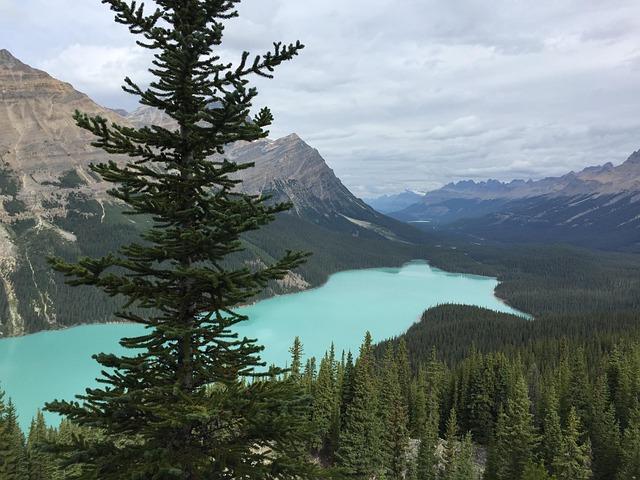 Top Hiking Vacations to Explore the Canadian Rockies Trails Top Hiking Vacations to Explore the Canadian Rockies Trails